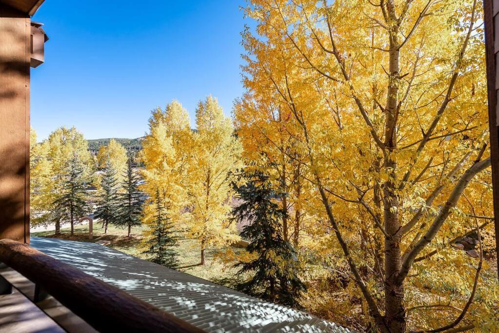 Ski-In/Ski-Out Zephyr 1 Bedroom Condo Винтер Парк Экстерьер фото